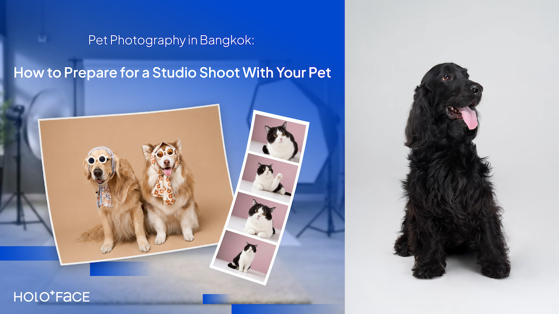 Pet photography in Bangkok for dogs, cats, and pet owners preparing for a professional studio photoshoot at HOLO+FACE Photography Studio